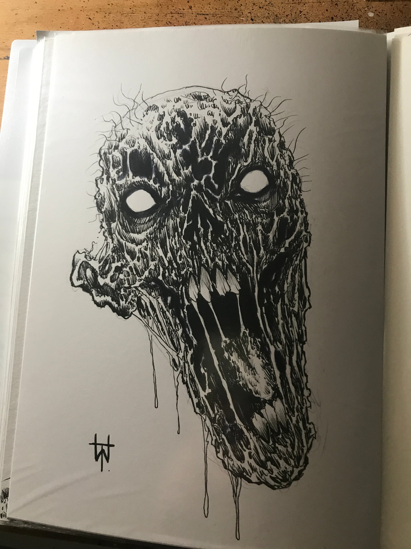 Head Ink Drawing