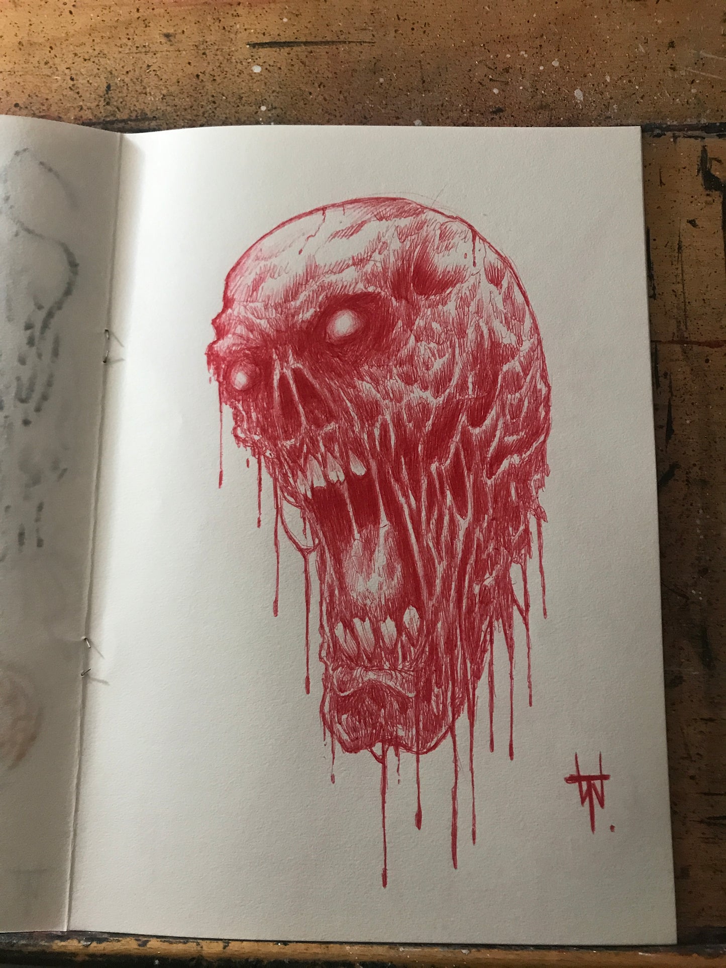 Red Skull Biro Pen Sketch