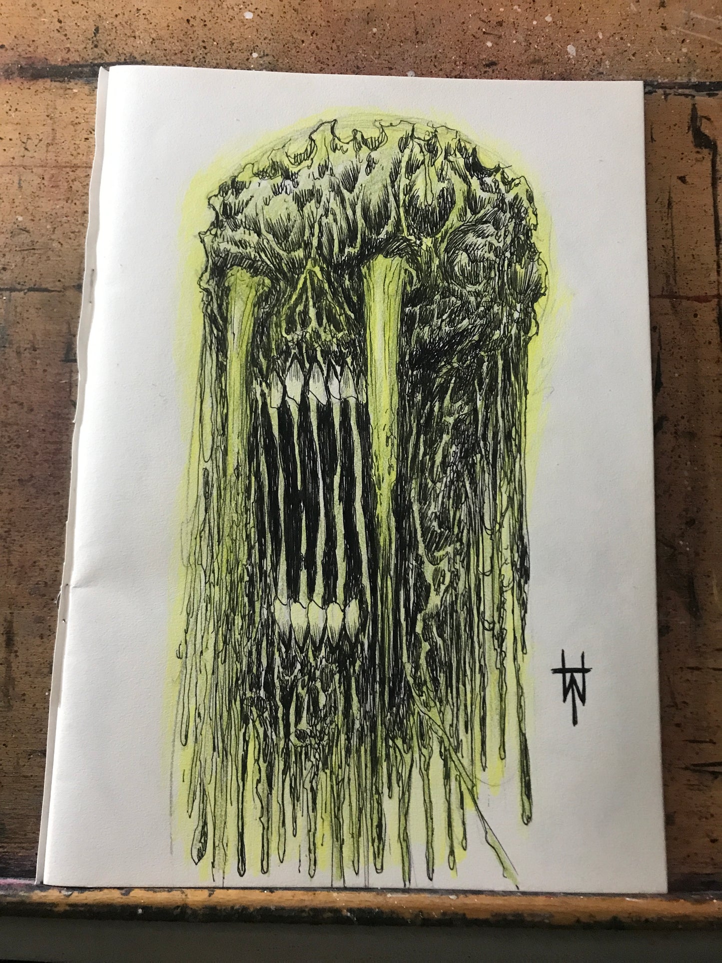 Radioactive Meltdown Skull Ink And Pencil Sketch