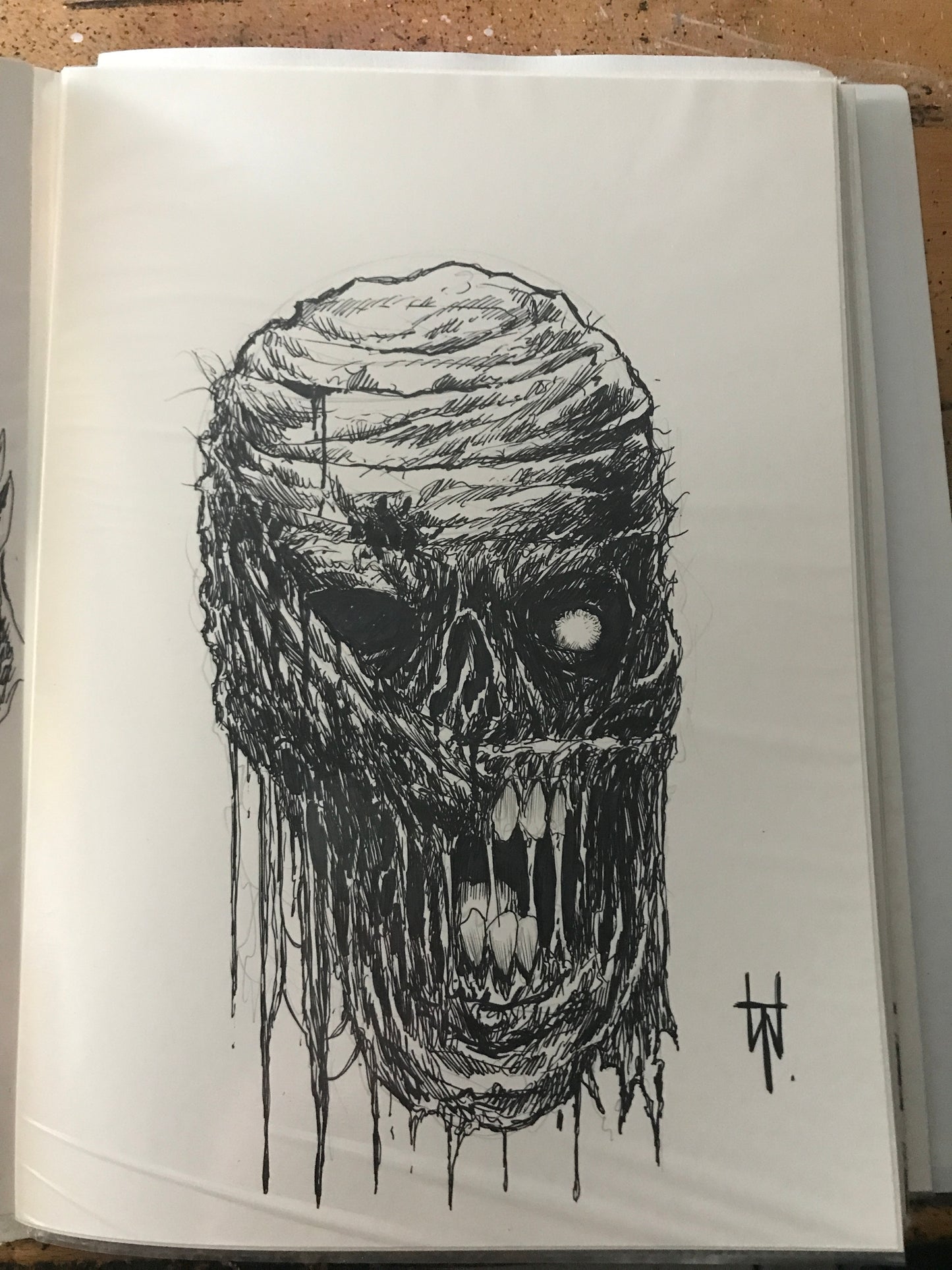 Egyptian Mummy Horror Head Ink Sketch Drawing
