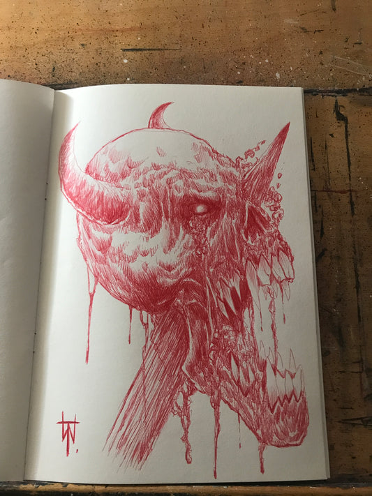 Red Skull Biro Pen Sketch