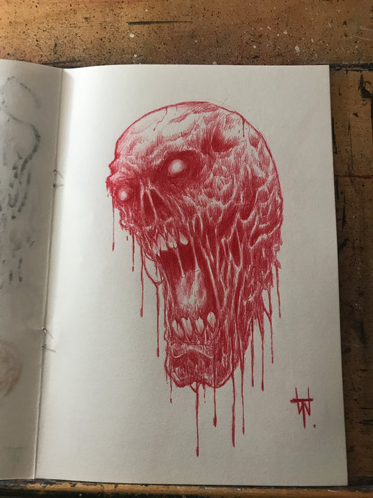 Red Skull Biro Pen Sketch